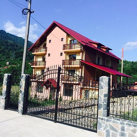 Pensiunea Cheile Argesului Capatineni-Paminteni Extérieur photo