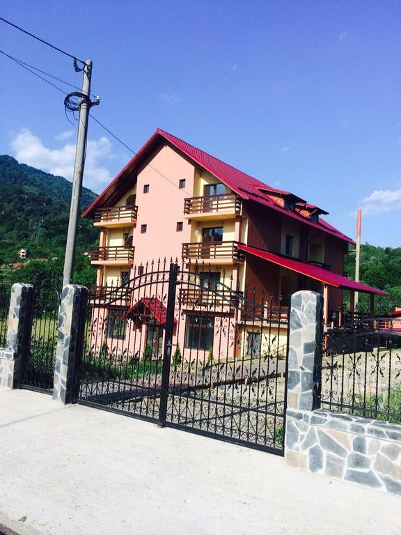Pensiunea Cheile Argesului Capatineni-Paminteni Extérieur photo