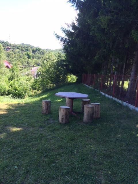 Pensiunea Cheile Argesului Capatineni-Paminteni Extérieur photo